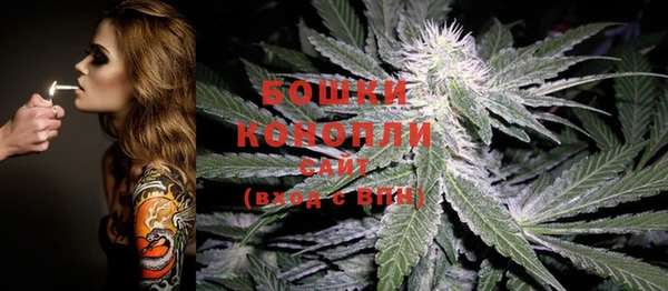 МДПВ Бугульма