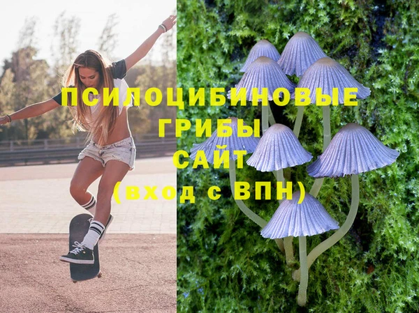МДПВ Бугульма