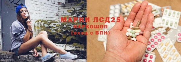 СК Бородино