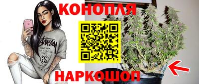 мяу мяу мука Краснознаменск