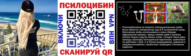 kraken tor  как найти закладки  Волжск  Галлюциногенные грибы Psilocybine cubensis 