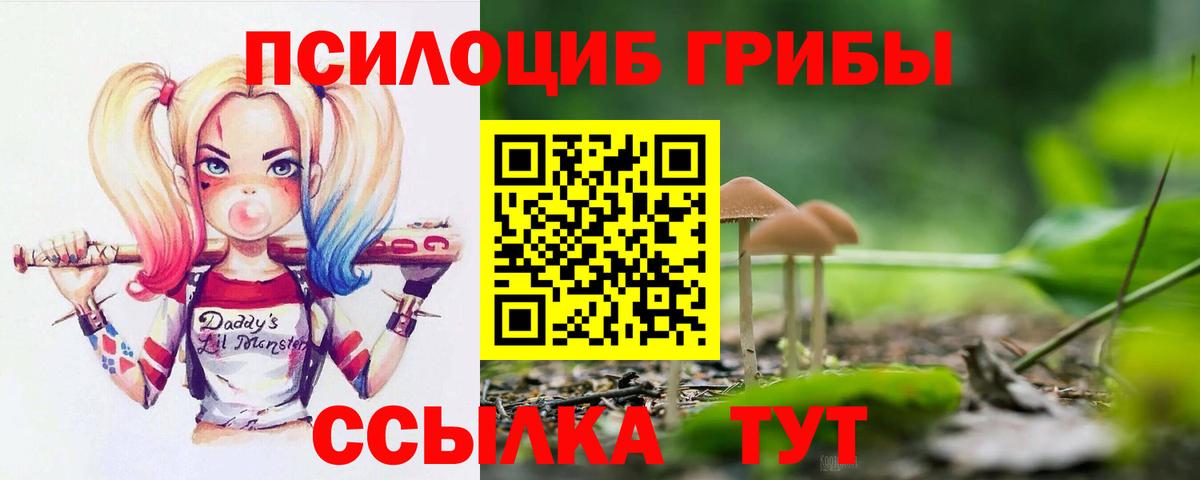 Псилоцибиновые грибы мухоморы Волжск